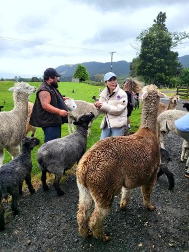 아그로돔 팜투어