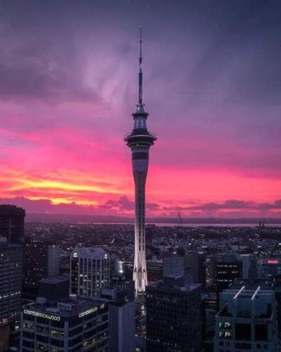 오클랜드 스카이타워