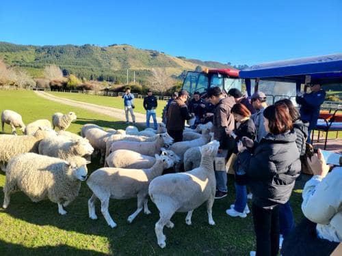 아그로돔 팜투어