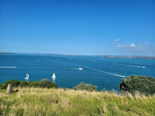 와이테마타 항구