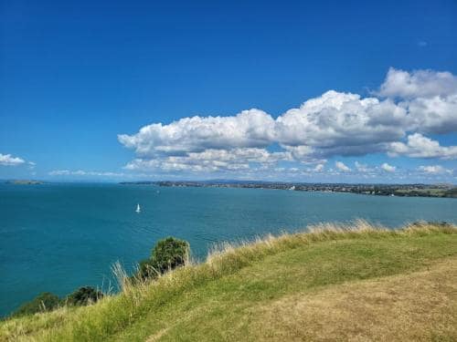 데본포트 노스헤드 전망대에서 본 와이테마타 항구