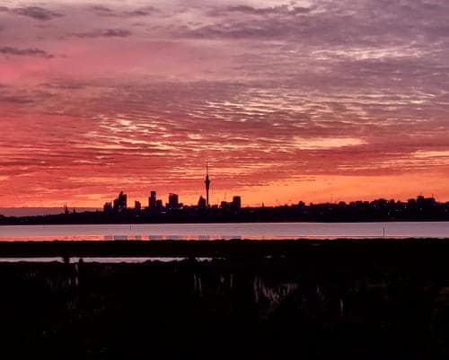 테아타투에서 본 오클랜드 야경